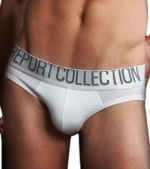 Report Collection Modal Silver Low Rise Brief